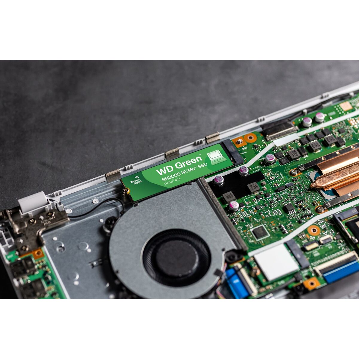 Festplatte Western Digital WDS100T4G0E-00CPS0 1 TB SSD